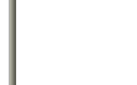 paip.gif (399 bytes)