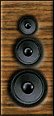 speaker4.jpg (3089 bytes)